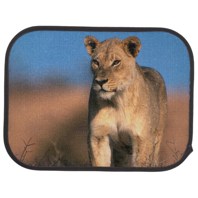 Portrait Of Lioness (Panthera Leo) Car Mat (Rear)