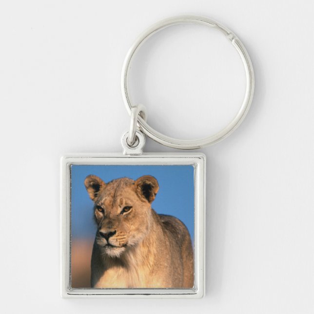 Portrait Of Lioness (Panthera Leo) Keychain (Front)