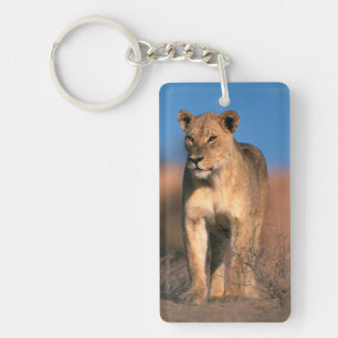 Portrait Of Lioness (Panthera Leo) Keychain
