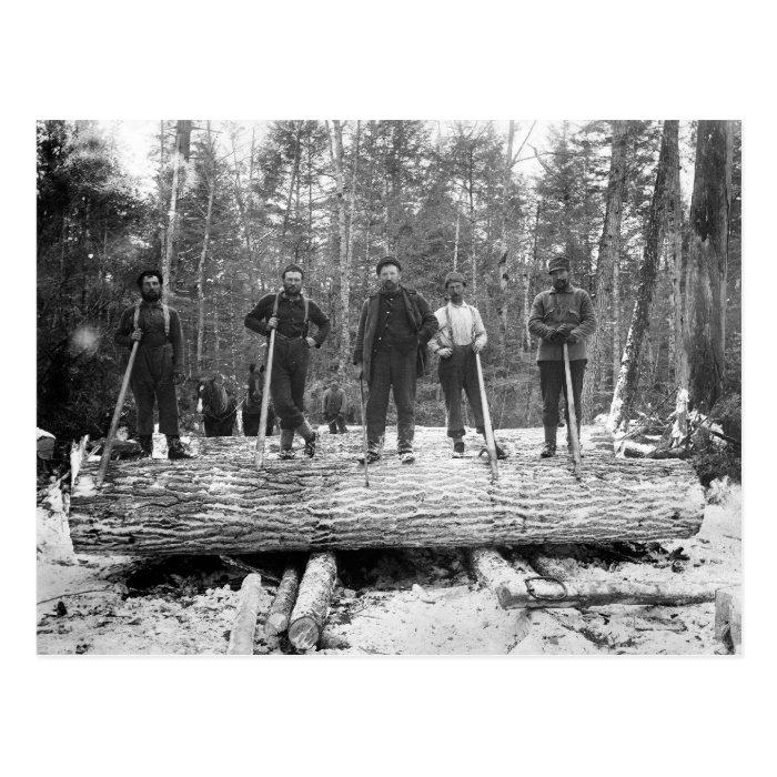 Portrait of Loggers, 1890 Post Card