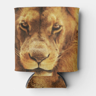 Portrait of male African lion. Can Cooler
