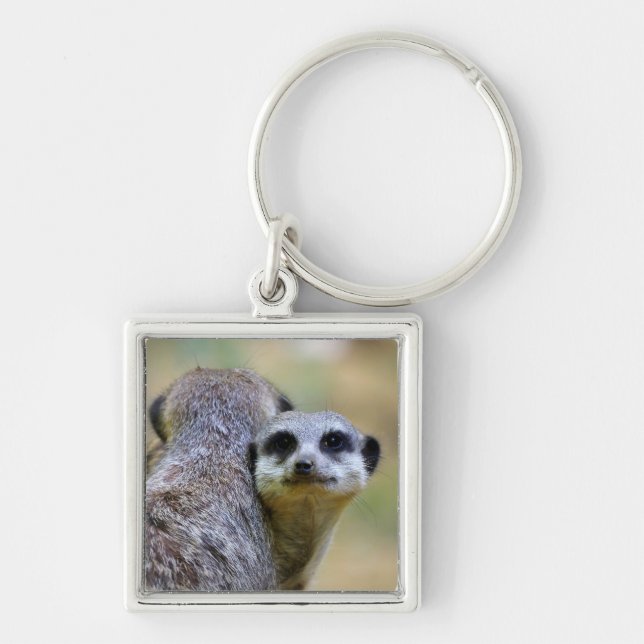 Portrait of meerkats or suricates   keychain (Front)
