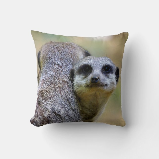 Portrait of meerkats or suricates  throw pillow (Front)