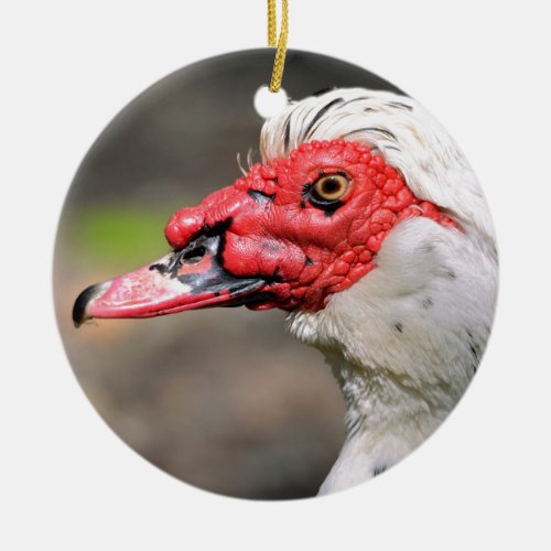 Portrait of muscovy duck ceramic ornament