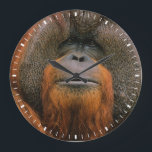 Portrait of Orang-utang Male, Georgia, USA Large Clock<br><div class="desc">Portrait of Orang-utang (Pongo pygmaeus) male,  Georgia,  USA</div>