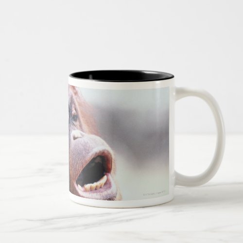 Portrait of orangutan Two_Tone coffee mug