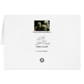 Portrait of Owls Cards (Back Horizontal)