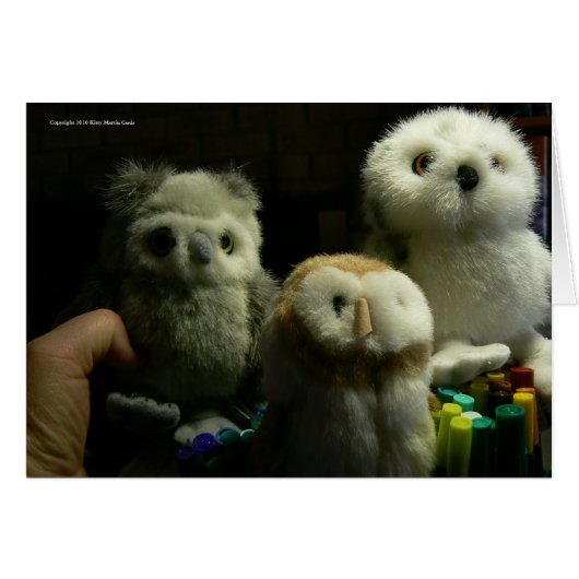Portrait of Owls Cards (Front Horizontal)