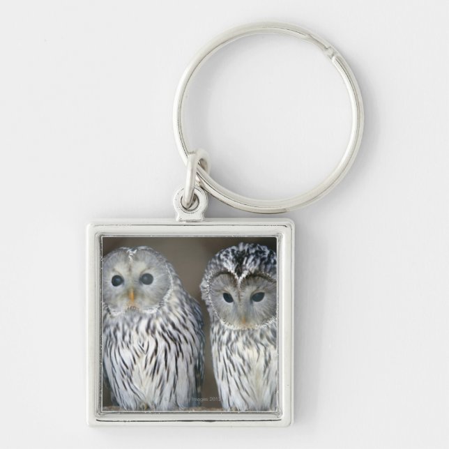 Portrait of owls keychain (Front)