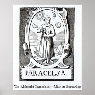 Portrait of Paracelsus Poster