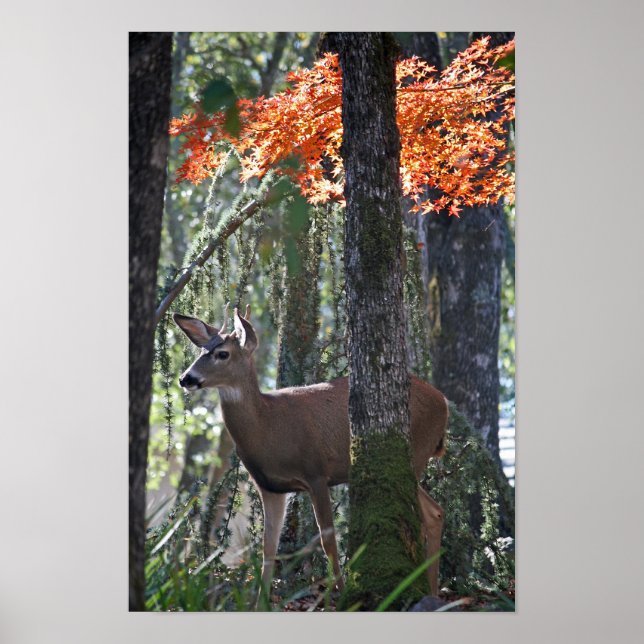 "Portrait of Peace" Poster (Front)