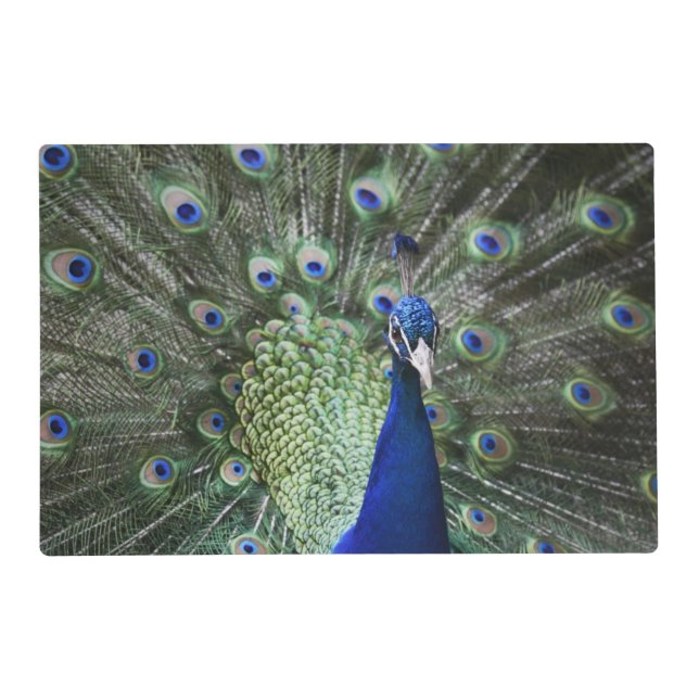 Portrait Of  Peacock With Feathers Out Placemat (Front)