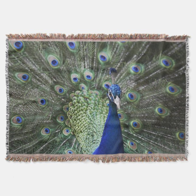 Portrait Of  Peacock With Feathers Out Throw Blanket (Front)