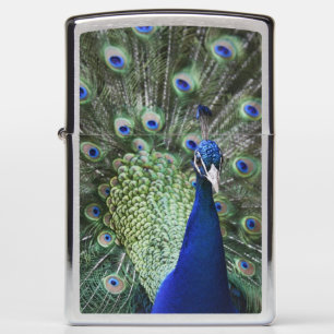Portrait Of Peacock With Feathers Out Zippo Lighter