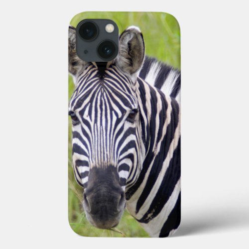 Portrait Of Plains Zebra Hluhluwe_Umfolozi Game iPhone 13 Case