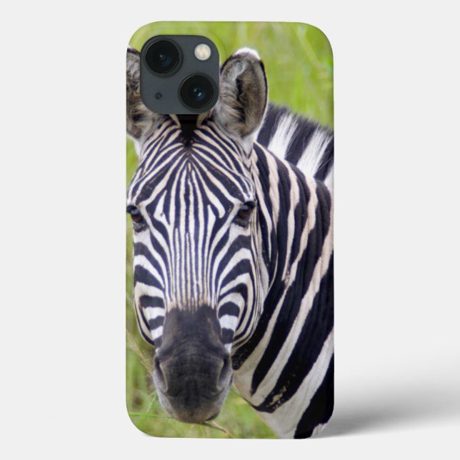 Portrait Of Plains Zebra, Hluhluwe-Umfolozi Game Case-Mate iPhone Case (Back)