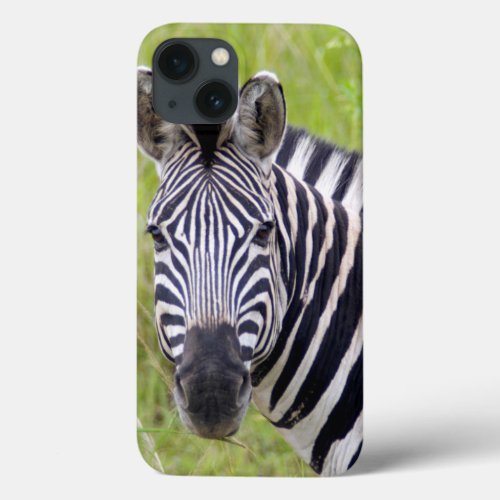 Portrait Of Plains Zebra Hluhluwe_Umfolozi Game iPhone 13 Case