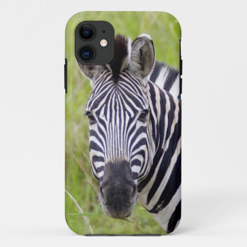 Portrait Of Plains Zebra Hluhluwe_Umfolozi Game iPhone 11 Case