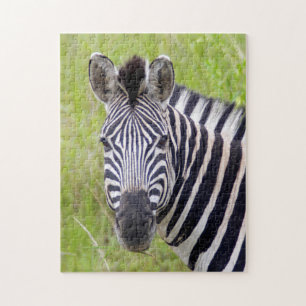 Portrait Of Plains Zebra, Hluhluwe-Umfolozi Game Jigsaw Puzzle