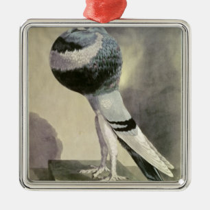 Portrait of Pouter Pigeon Metal Ornament