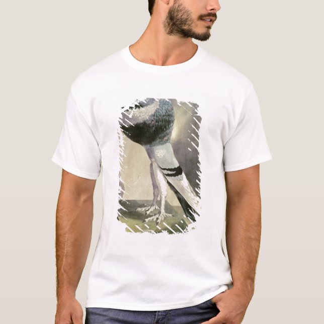 Portrait of Pouter Pigeon T-Shirt (Front)