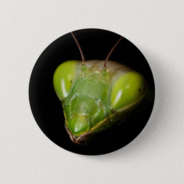 Portrait of praying mantis button (Front)