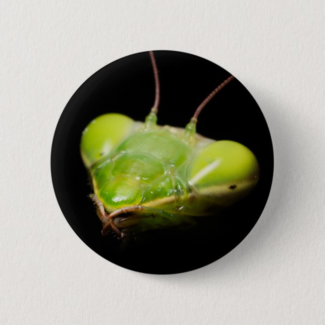 Portrait of praying mantis button (Front)