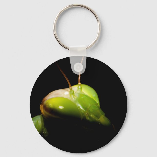 Portrait of praying mantis keychain (Front)