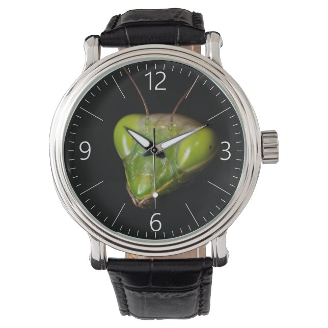 Portrait of praying mantis watch (Front)