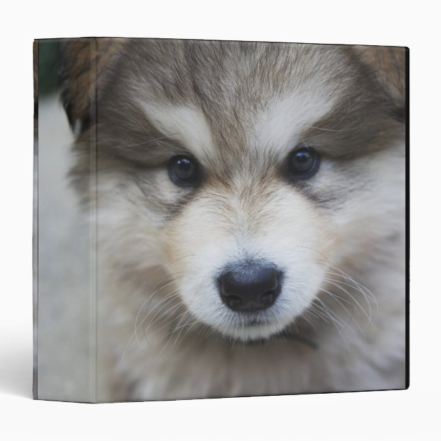 Portrait of puppy binder (Front/Spine)
