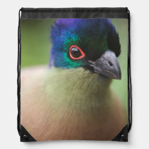 Portrait Of Purple-Crested Turaco Drawstring Bag