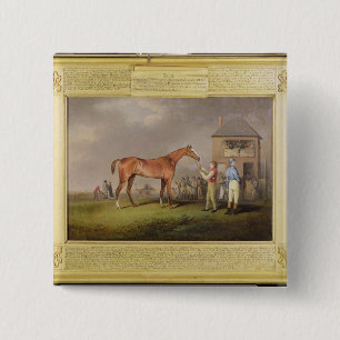 Portrait of 'Quiz', the property of Lord Rous, aft Button