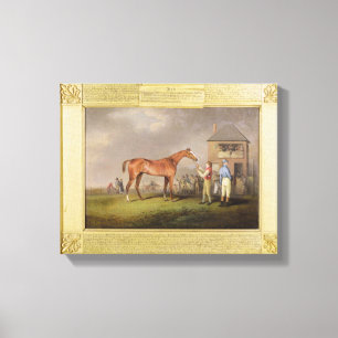 Portrait of 'Quiz', the property of Lord Rous, aft Canvas Print