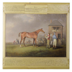 Portrait of 'Quiz', the property of Lord Rous, aft Ceramic Tile