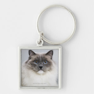 Portrait of Ragdoll cat Keychain