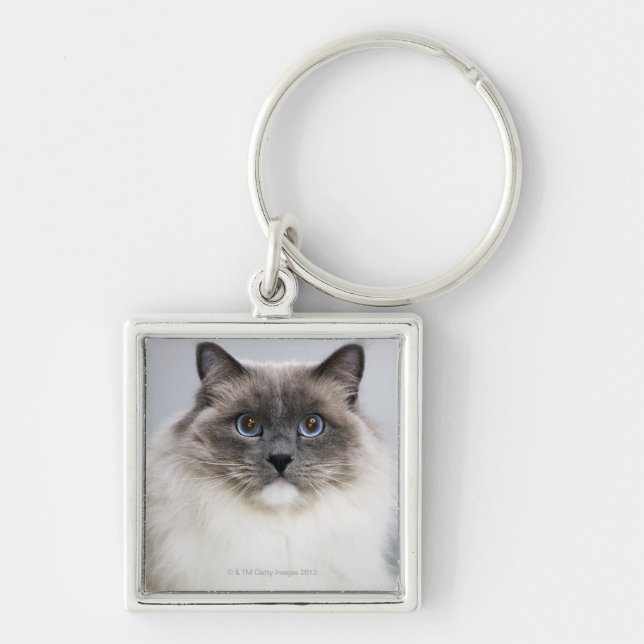 Portrait of Ragdoll cat Keychain (Front)