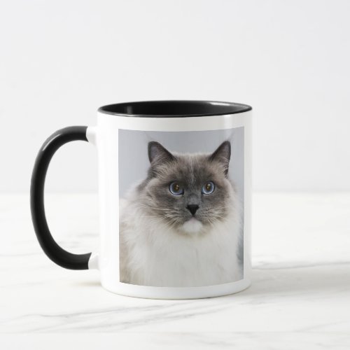 Portrait of Ragdoll cat Mug