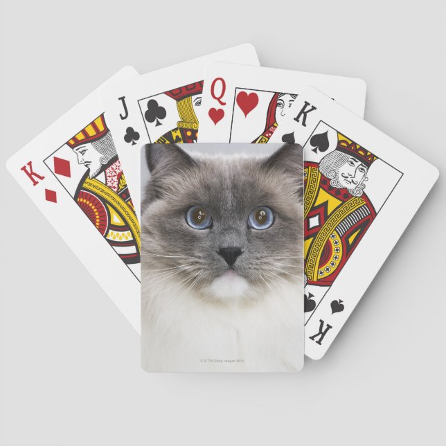 Portrait of Ragdoll cat Poker Cards (Back)