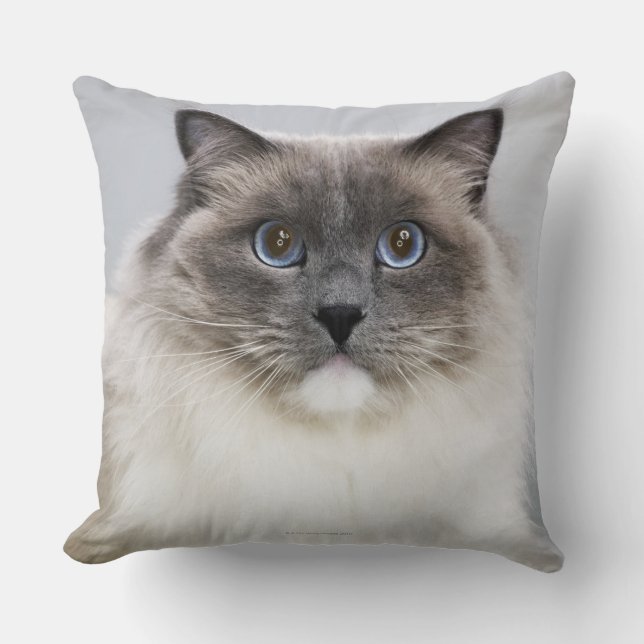 Portrait of Ragdoll cat Throw Pillow (Front)