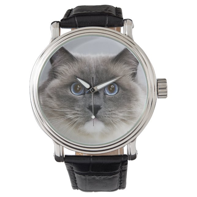 Portrait of Ragdoll cat Watch (Front)