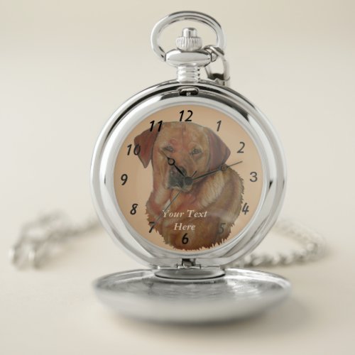 portrait of rare red golden labrador retriever dog pocket watch