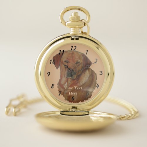 portrait of rare red golden labrador retriever dog pocket watch