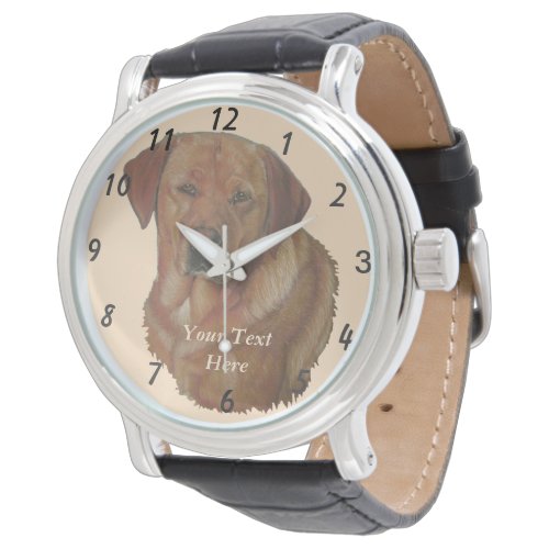 portrait of rare red golden labrador retriever dog watch