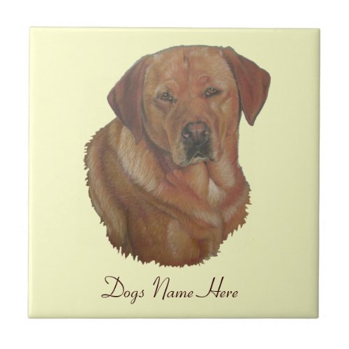 portrait of rare red labrador retreiver dog tile