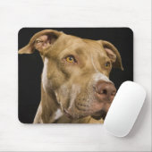 Portrait of red nose pitbull with black mouse pad (With Mouse)