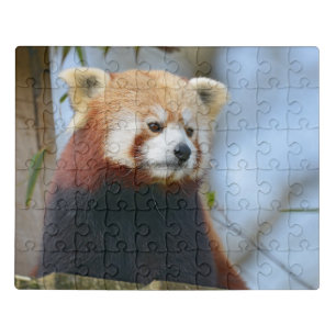 Portrait of red panda jigsaw puzzle