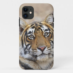 Portrait of Royal Bengal Tiger, Ranthambhor iPhone 11 Case
