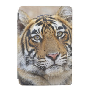Portrait of Royal Bengal Tiger, Ranthambhor iPad Mini Cover