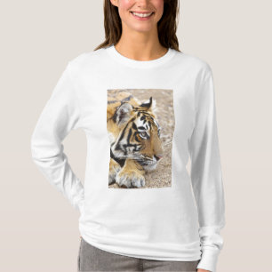 Portrait of Royal Bengal Tiger, Ranthambhor T-Shirt