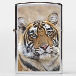 Portrait of Royal Bengal Tiger, Ranthambhor Zippo Lighter